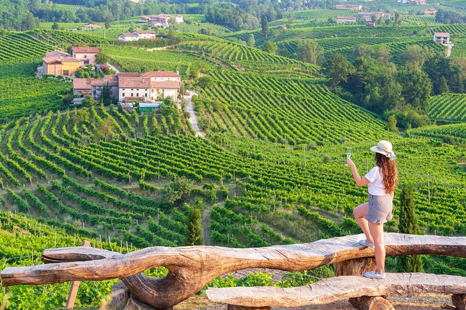 Premium Prosecco Hills Winery Tour with Prosecco Tastings & Food - Key Prosecco Hills Takeaways