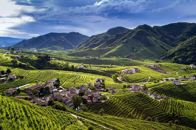 Premium Prosecco Hills Winery Tour with Prosecco Tastings & Food - From Venice Pickup at Piazzale Roma to the Prosecco Hills Drive