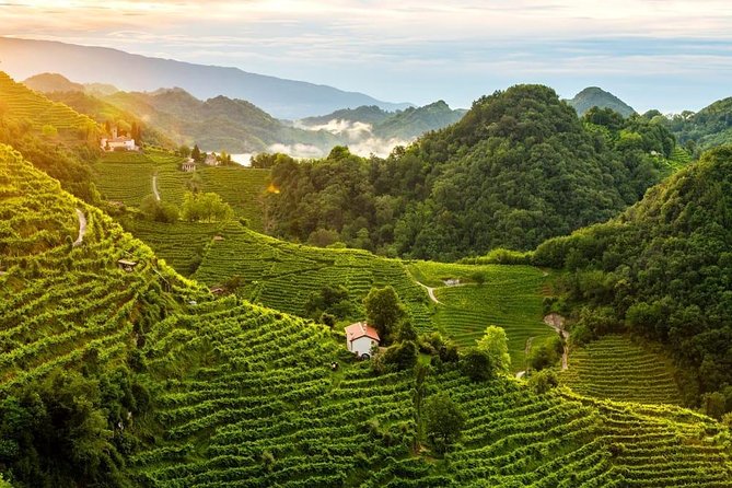 Premium Prosecco Hills Winery Tour with Prosecco Tastings & Food - Stop 2: Conegliano Winery Visit and the Owner-Hosted DOCG Tastings