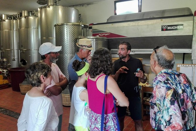 Premium Prosecco Hills Winery Tour with Prosecco Tastings & Food - The Food Pairings That Make the Prosecco Taste Make Sense