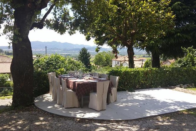 Premium Prosecco Hills Winery Tour with Prosecco Tastings & Food - Price and Value: Is 247.39 Worth It?