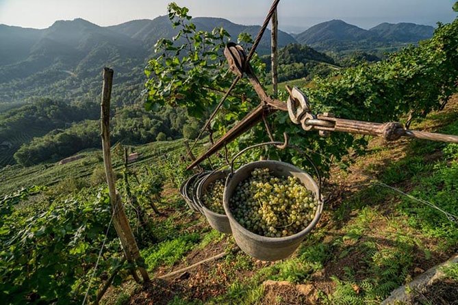 Premium Prosecco Hills Winery Tour with Prosecco Tastings & Food - Stop 1: Valdobbiadene, Where the Views and Timing Matter