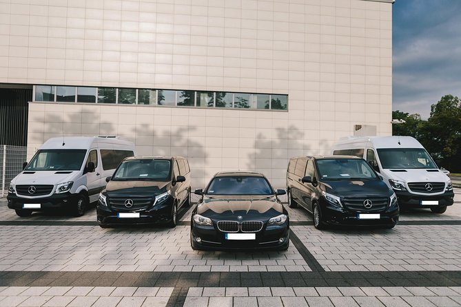 Private Arrival Transfer: Venice Marco Polo Airport - Key points before you go