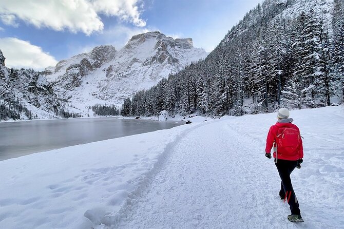 Private Guided Tour in the Dolomites from Venice - Price and value: what the high cost buys you