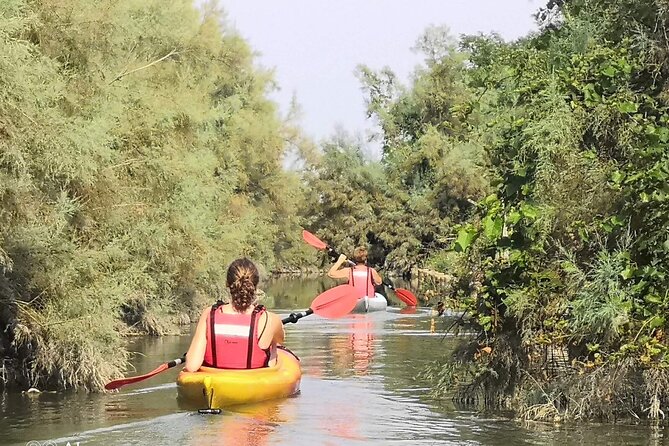 Private Kayak Tour in the Venetian Lagoon - Key highlights