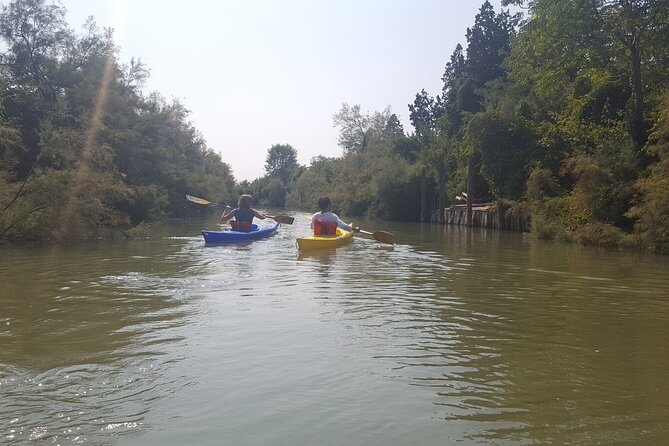 Private Kayak Tour in the Venetian Lagoon - Price and value, plus the costs you should plan for