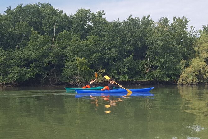 Private Kayak Tour in the Venetian Lagoon - The kayak route through ghebi and sandbanks, what you’ll actually do