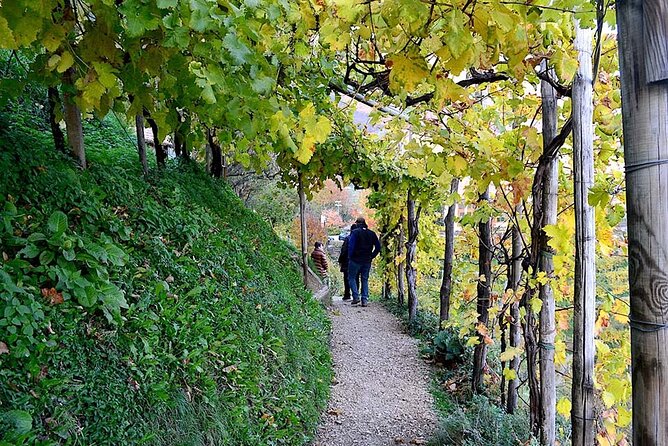 Private Tour: Prosecco Wine Tasting Day Trip with Lunch from Venice - The easy logistics: Piazzale Roma pickup, air-conditioned comfort, and timing