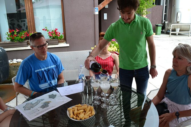 Private Tour: Prosecco Wine Tasting Day Trip with Lunch from Venice - A private sommelier guide makes the difference: attentive, tailored, and ready with answers