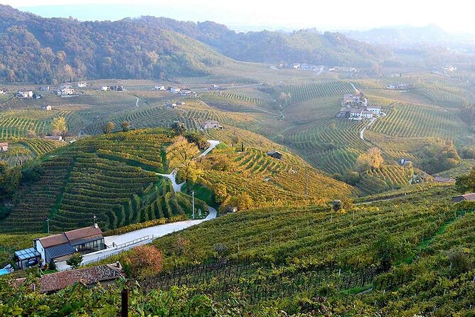 Private Tour: Prosecco Wine Tasting Day Trip with Lunch from Venice - Price and value: is $480.59 per person a bargain or a splurge?