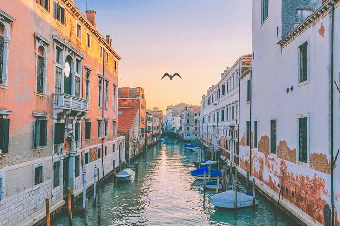 Private Tour: Venice Art and Architecture Walking Tour - How the Guide Explains Venice’s Art and Architecture Logic