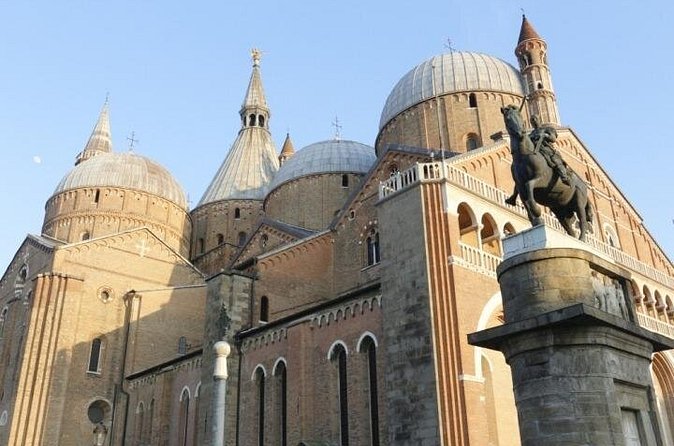 Private transfer, chauffeur service, from Venice Marco Polo airport to Padua - Ride Comfort, Parking Fees, and What You Get for the Price