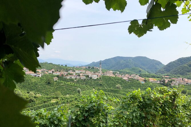 Prosecco Hills Wine and Cheese Gourmet Discovery - Conegliano winery stop: salami, four sparkling Proseccos, and hilltop views