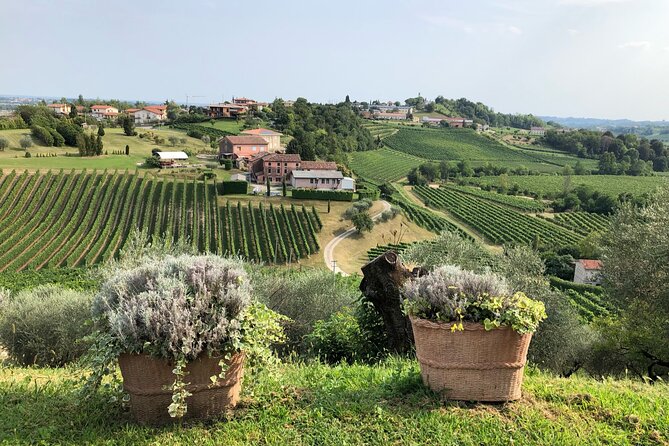 Prosecco Hills Wine and Cheese Gourmet Discovery - Who this tour is for, and who should think twice