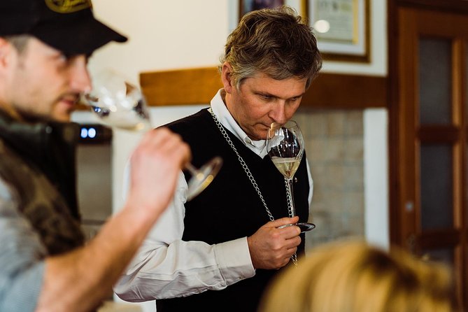 Prosecco Wine Tour (all-inclusive full day with lunch and expert wine guide) - A full-day escape from Venice to Prosecco DOCG hills