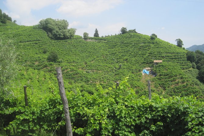 Prosecco Wine Tour (all-inclusive full day with lunch and expert wine guide) - Meet the Venice Day Trips team: Mario and Rachel