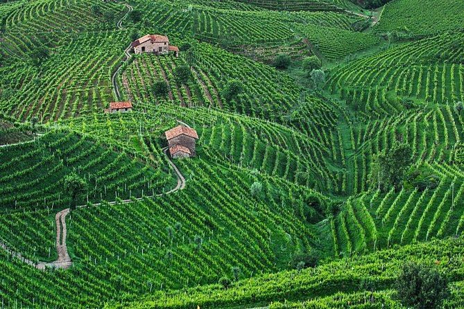 Prosecco Wine Tour. Full day from Venice - Veneto Village Time: What You See Beyond the Winery Doors
