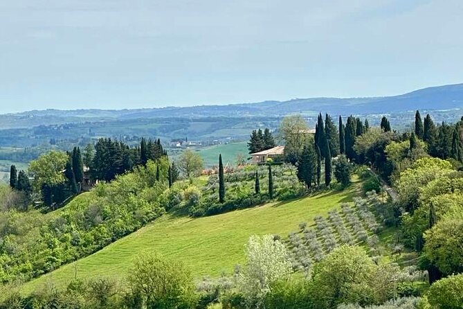 Prosecco Wine Tour. Full day from Venice - The Lunch and Snacks: A Real Meal, Not Just a Bite