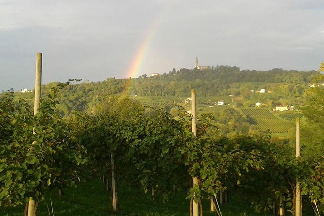 Prosecco Wine Tour. Full day from Venice - Two Wineries, Multiple Tastings, and a Better Prosecco Conversation