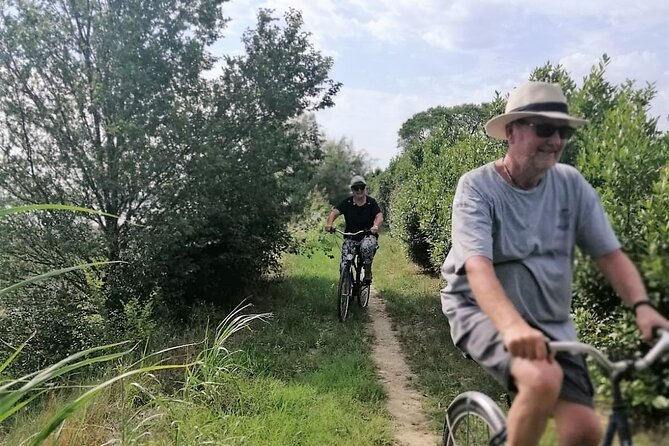 Sant’Erasmo Bike Tour in Venice’s Green Island - The honey farm stop, why saltmarsh honey tastes different