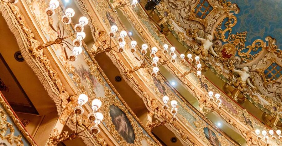 The Majestic Teatro La Fenice: Guided Tour in Venice - Key highlights you should know before you go