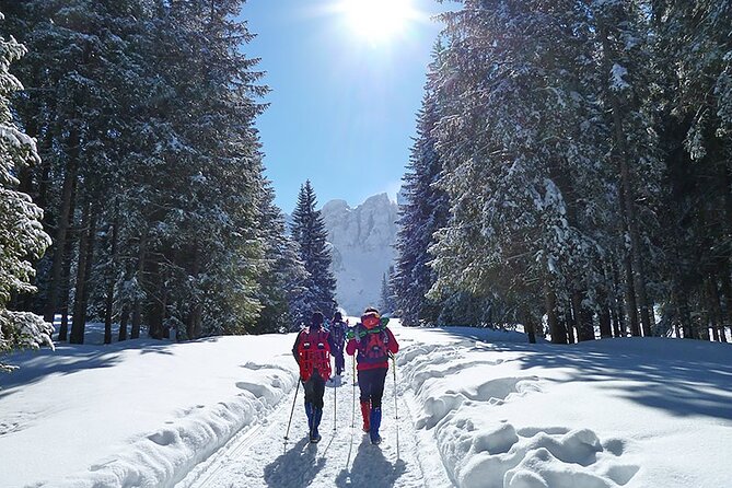 UNESCO Dolomites great expedition from Venice by Yellowboot - Why This Dolomites Day Feels Like the Right Size