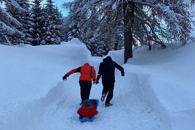 UNESCO Dolomites great expedition from Venice by Yellowboot - Dolomiti del Veneto Town Time: Coffee, Cake, Shops, Photos