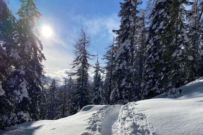 UNESCO Dolomites great expedition from Venice by Yellowboot - What You Actually Get for the Price (About $290)