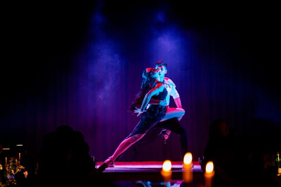 Venice: Cabaret Dinner Show - Who Should Book This Cabaret Dinner, and Who Might Hesitate
