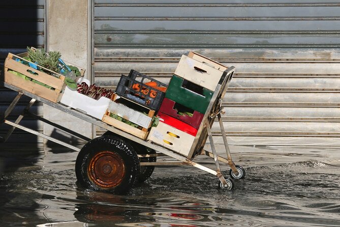 Venice for First-Timers: Essential Private Tour - MOSE Floating Flood Barriers: The Protective Idea, Explained