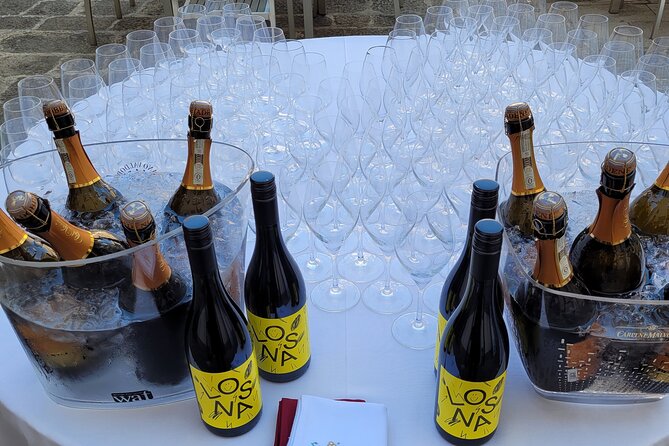 Venice like a local: Vini and Cichetti at Liuba and Hugo's home - What the food feels like, and why homemade matters in Venice
