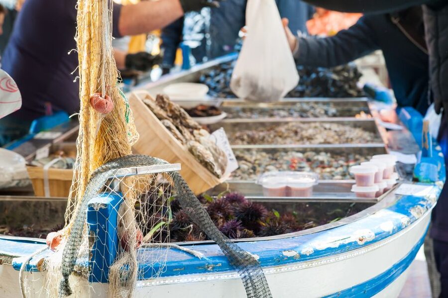 Venice: Market Tour and Meal at a Local's Home - Timing and meeting point reality in Venice