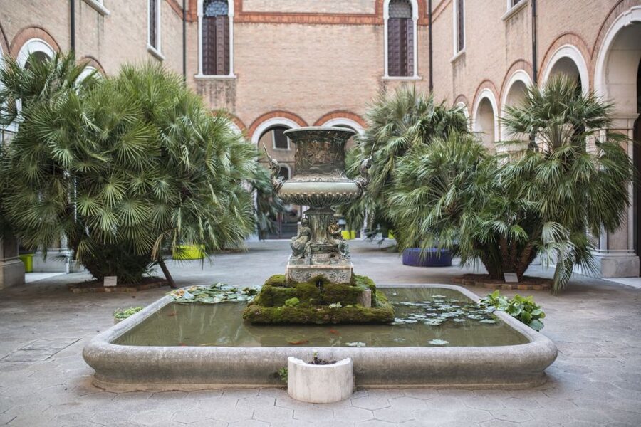 Venice: Natural History Museum Entry Ticket - Your Ticket Gets You Access to a Huge World of Objects and Specimens