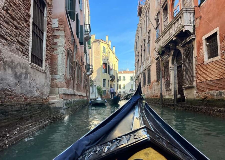 Venice: St. Mark’s Classic Walking Tour & Bell Tower Entry - Price and value: what you’re really paying for at $56.37