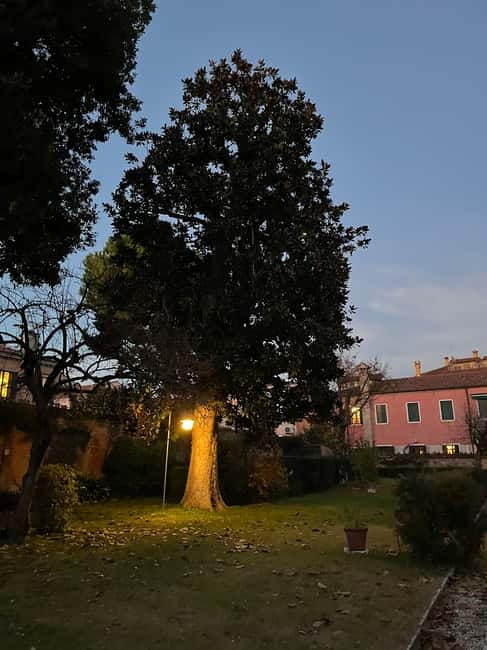 Venice: Sunrise Walking Tour with Espresso - Why a 6:45 Sunrise Walk Makes Venice Feel Like Yours