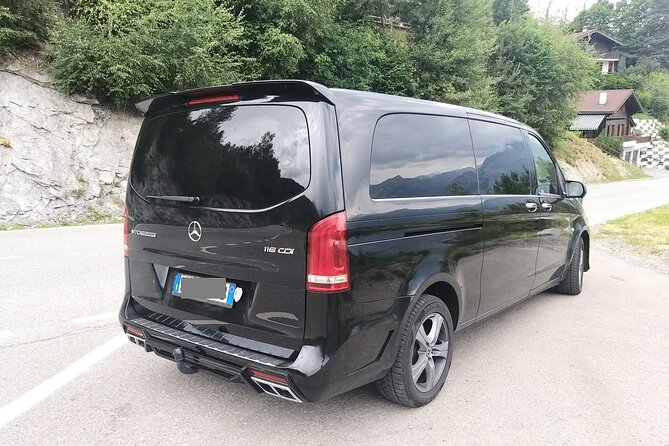 Venice (water taxi) to Venice Airport (VCE) - Departure Transfer - Price per person: is $174.42 good value?