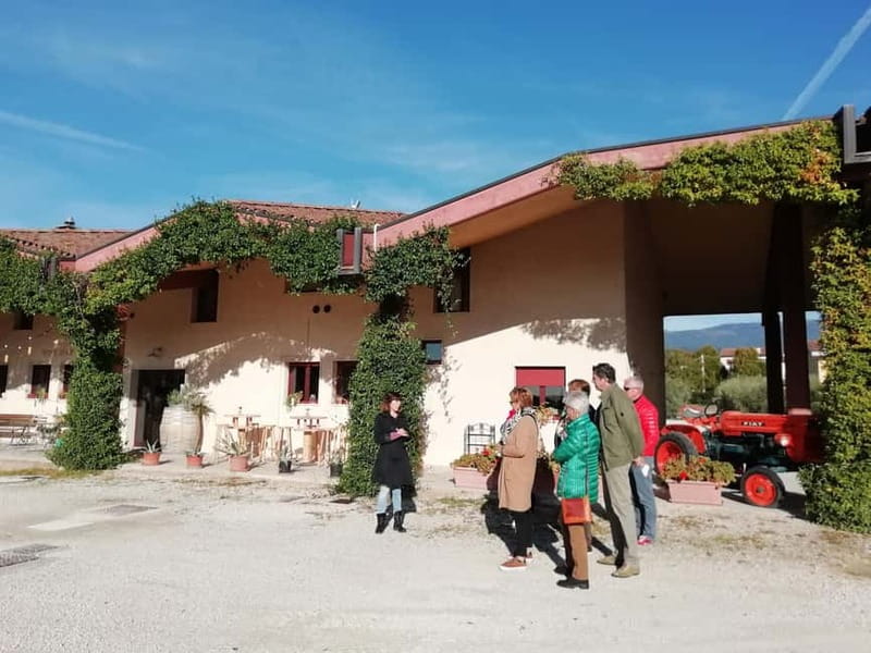 Venice: wine tour tasting along the Unesco Prosecco hills - Stop 1 in Valdobbiadene: A Family Cellar and Food-Paired Tasting